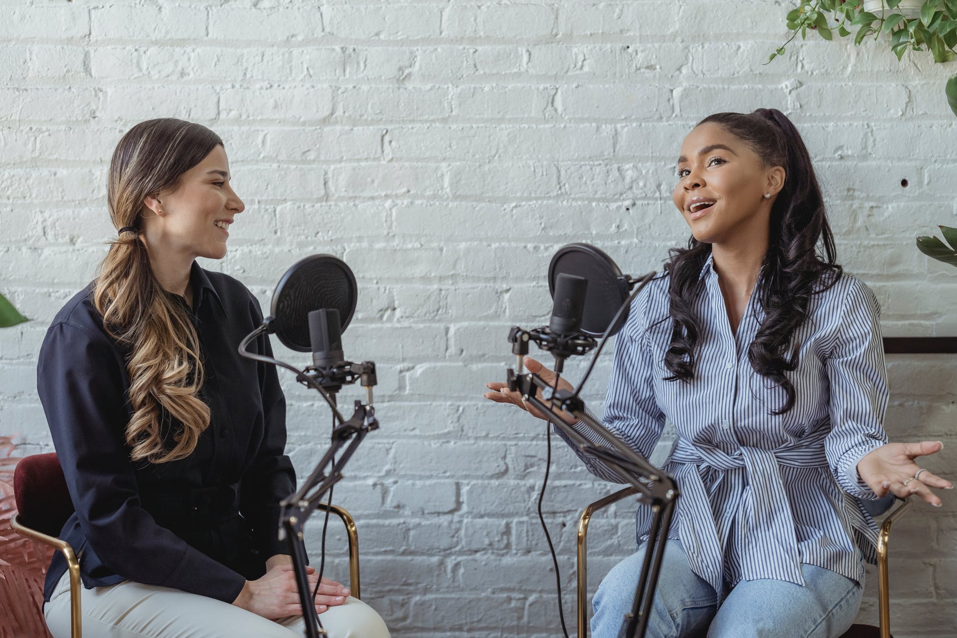 Como Crear Un podcast Exitoso – Photo by George Milton on Pexels.com Como Crear Un podcast